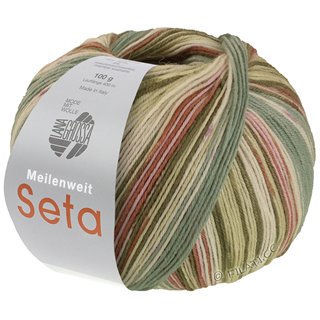 Lana Grossa MEILENWEIT 100g Seta Giappone